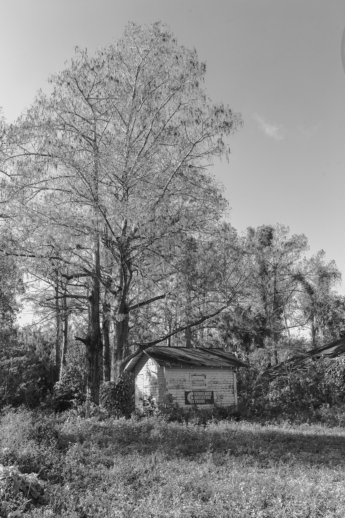 Adverture Tours Building