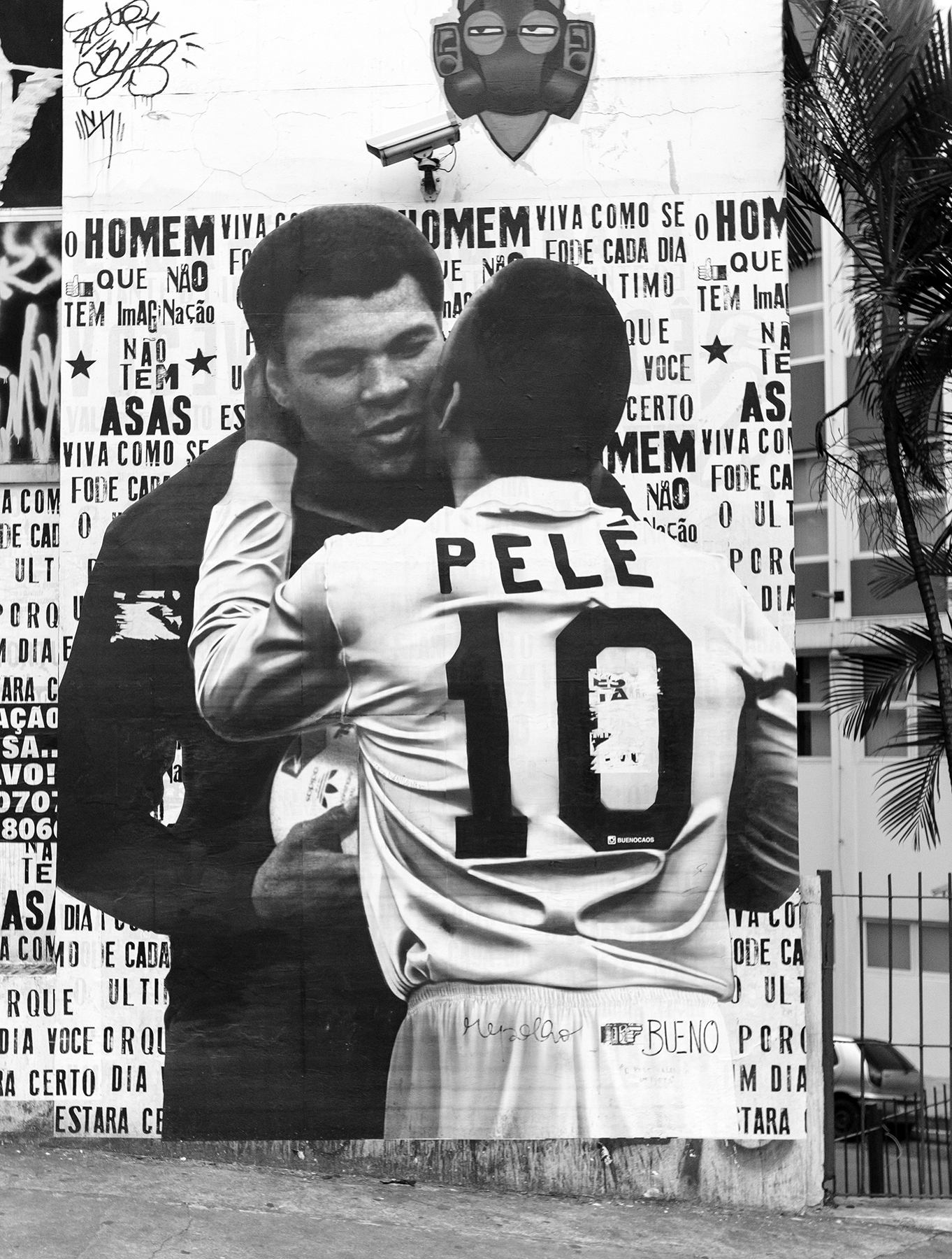 Ali Pele