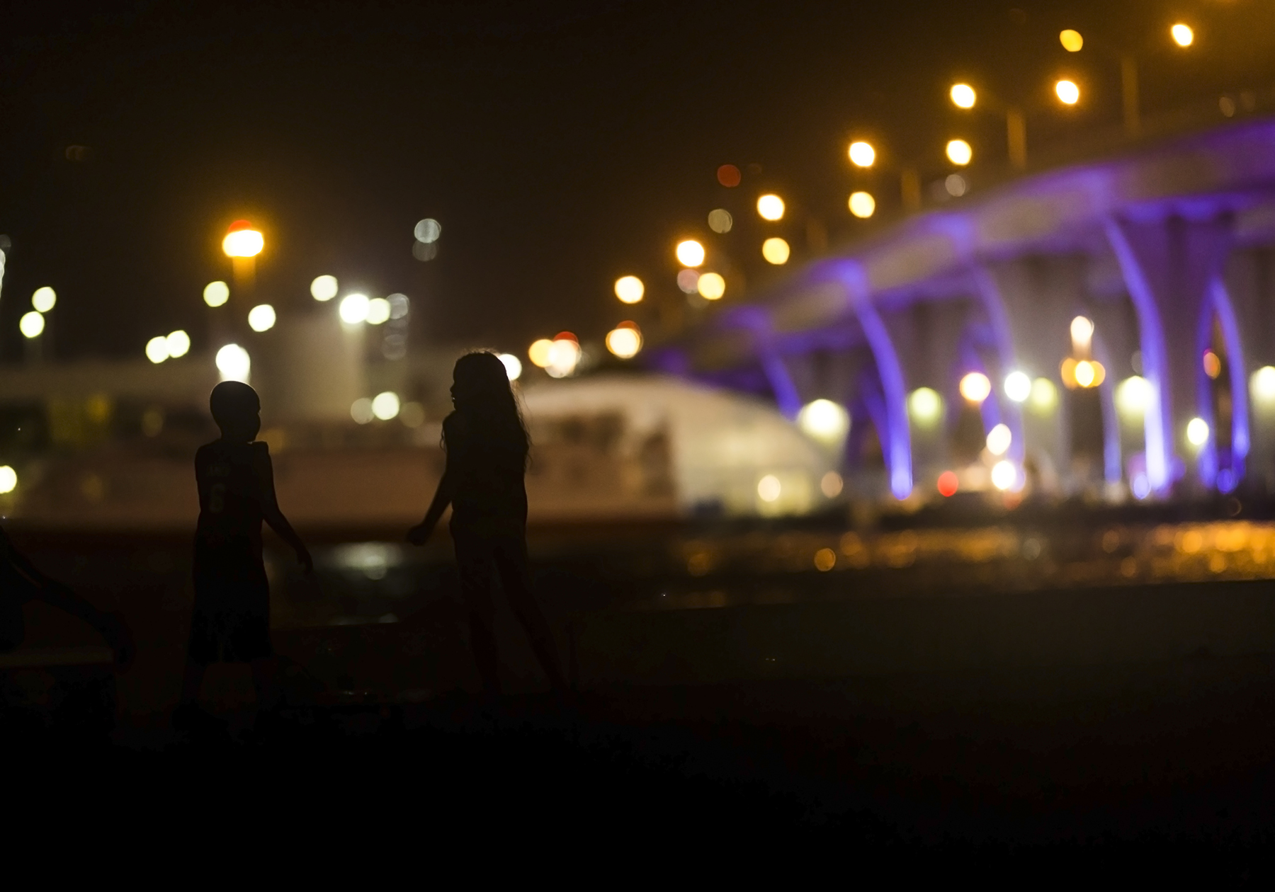 Kids Bridge