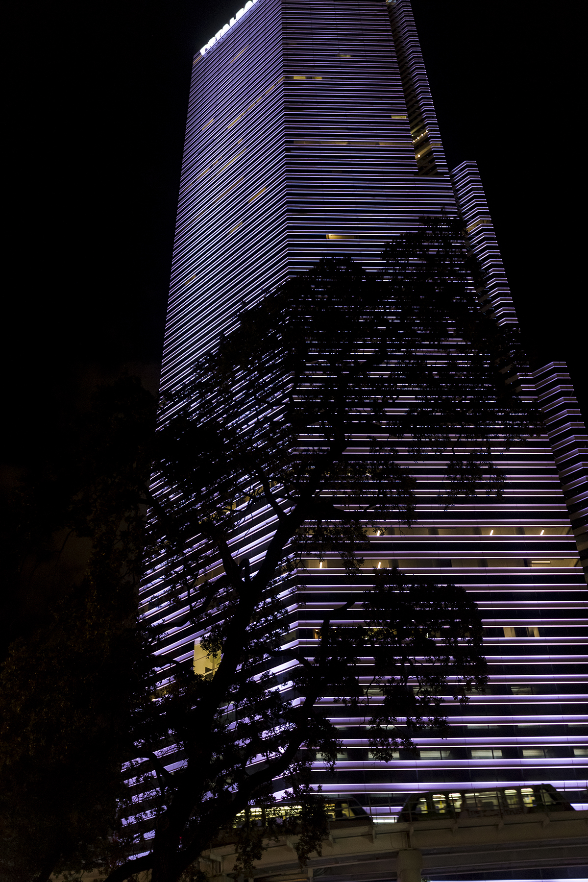 Total Bank Tree